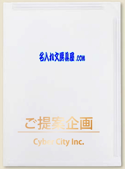 キングジム クリアーホルダー チャックタイプ 856-10 名入れイメージ