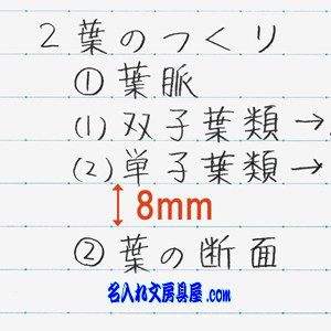 キャンパスノートセミB5 幅広ドット罫線入り 太横罫 ﾉ-D3UTN　名入れ