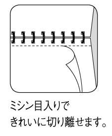 ソフトリングメモ 名前入れ