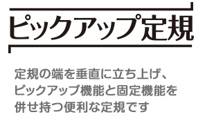 ライオン事務機　ピックアップ定規 名入れ