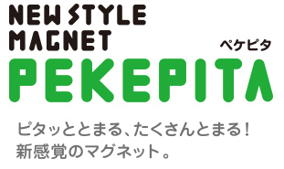 ライオン事務機 ペケピタ 名入れ