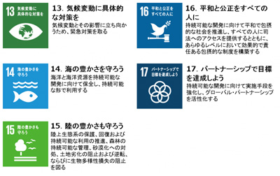 SDGsの17の目標_ボールペン 名入れ3
