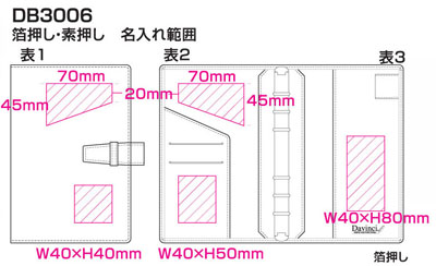 レイメイ ダヴィンチ 聖書サイズシステム手帳 DB3006 名入れ印刷可能範囲