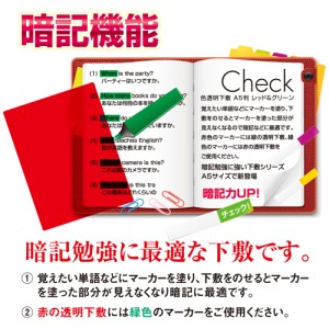 共栄プラスチック 色透明下敷き 暗記下敷き 名入れ