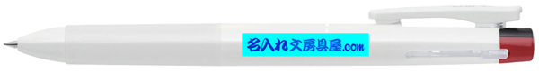 サラサ3C 名入れ印刷可能範囲