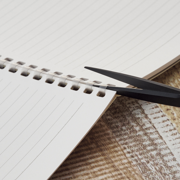 リヒトラブ ソフィーチェ ノート 名入れ特徴3