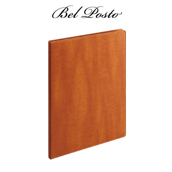 セキセイ ベルポスト クリヤーファイル 名入れ BelPosto